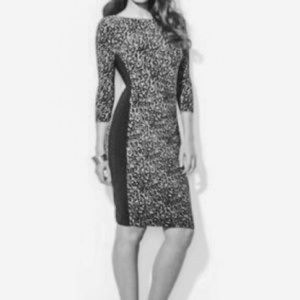 Lauren Ralph Lauren Dress